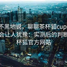 不吹不黑地说，聊聊茶杯狐cupfox哪些点会让人犹豫：实测后的判断，茶杯狐官方网站