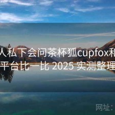 不少人私下会问茶杯狐cupfox和同类平台比一比 2025 实测整理