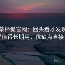 聊聊茶杯狐官网：回头看才发现是不是值得长期用，优缺点直接说