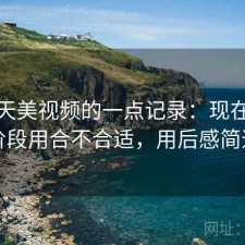 关于天美视频的一点记录：现在这个阶段用合不合适，用后感简述