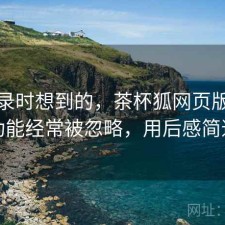 翻记录时想到的，茶杯狐网页版哪些功能经常被忽略，用后感简述