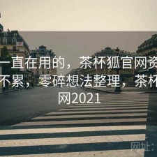 最近一直在用的，茶杯狐官网资源查找累不累，零碎想法整理，茶杯狐官网2021