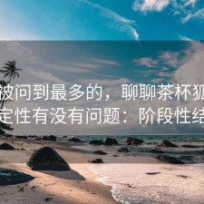 后台被问到最多的，聊聊茶杯狐官网稳定性有没有问题：阶段性结论