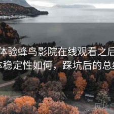 实际体验蜂鸟影院在线观看之后：整体稳定性如何，踩坑后的总结