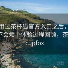 实际用过茶杯狐官方入口之后，用久了会不会烦｜体验过程回顾，茶杯狐 - cupfox