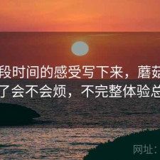 把这段时间的感受写下来，蘑菇tv用久了会不会烦，不完整体验总结
