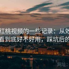 关于红桃视频的一些记录：从效率角度来看到底好不好用，踩坑后的总结