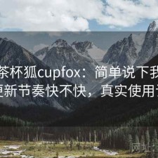 聊聊茶杯狐cupfox：简单说下我的看法更新节奏快不快，真实使用记录