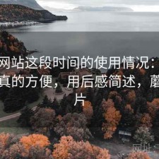 蘑菇网站这段时间的使用情况：哪些地方真的方便，用后感简述，蘑菇网片