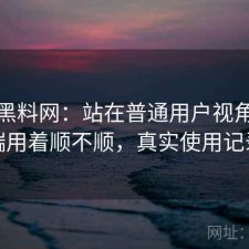 聊聊黑料网：站在普通用户视角电脑端用着顺不顺，真实使用记录