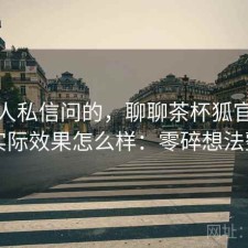 很多人私信问的，聊聊茶杯狐官方入口实际效果怎么样：零碎想法整理