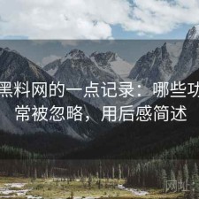 关于黑料网的一点记录：哪些功能经常被忽略，用后感简述