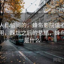 很多人私信问的，蜂鸟影院值不值得继续用，踩坑之后的总结，蜂鸟影院是什么
