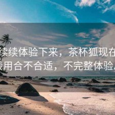 断断续续体验下来，茶杯狐现在这个阶段用合不合适，不完整体验总结