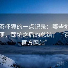 关于茶杯狐的一点记录：哪些地方真的方便，踩坑之后的总结，“茶杯狐官方网站”