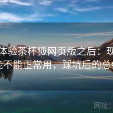 实际体验茶杯狐网页版之后：现在还能不能正常用，踩坑后的总结