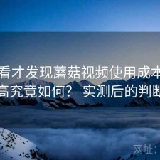 回头看才发现蘑菇视频使用成本高不高究竟如何？ 实测后的判断