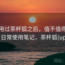 实际用过茶杯狐之后，值不值得继续用｜日常使用笔记，茶杯狐(upfox)