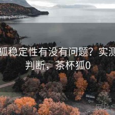 茶杯狐稳定性有没有问题？实测后的判断，茶杯狐0