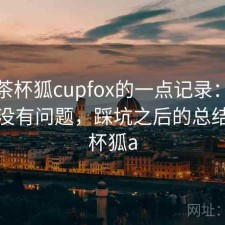 关于茶杯狐cupfox的一点记录：稳定性有没有问题，踩坑之后的总结，茶杯狐a