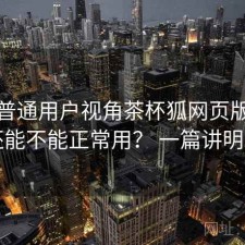 站在普通用户视角茶杯狐网页版现在还能不能正常用？ 一篇讲明白