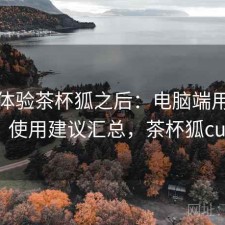 实际体验茶杯狐之后：电脑端用着顺不顺，使用建议汇总，茶杯狐cupfoxa