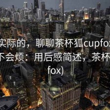 说点实际的，聊聊茶杯狐cupfox用久了会不会烦：用后感简述，茶杯狐(upfox)
