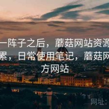 用了一阵子之后，蘑菇网站资源查找累不累，日常使用笔记，蘑菇网络官方网站