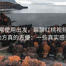 从日常使用出发，聊聊红桃视频哪些地方真的方便：一些真实感受