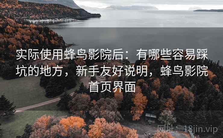 实际使用蜂鸟影院后：有哪些容易踩坑的地方，新手友好说明，蜂鸟影院首页界面  第1张