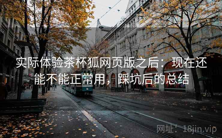实际体验茶杯狐网页版之后：现在还能不能正常用，踩坑后的总结  第2张