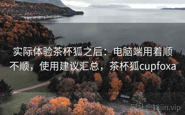 实际体验茶杯狐之后：电脑端用着顺不顺，使用建议汇总，茶杯狐cupfoxa  第1张