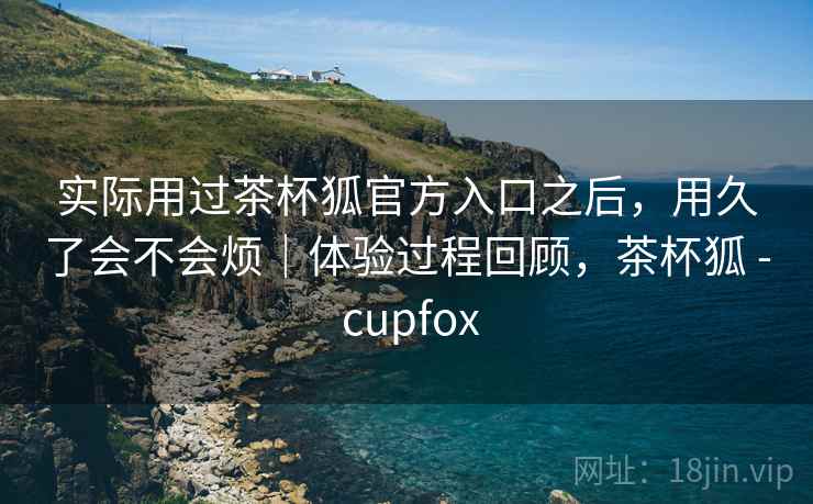 实际用过茶杯狐官方入口之后，用久了会不会烦｜体验过程回顾，茶杯狐 - cupfox  第2张