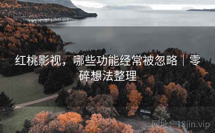 红桃影视,哪些功能经常被忽略|零碎想法整理 第2张 红桃影视,哪些功能经常被忽略|零碎想法整理 第2张