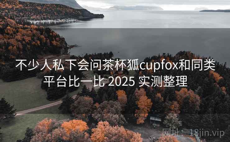 不少人私下会问茶杯狐cupfox和同类平台比一比 2025 实测整理 第2张 不少人私下会问茶杯狐cupfox和同类平台比一比 2025 实测整理 第2张